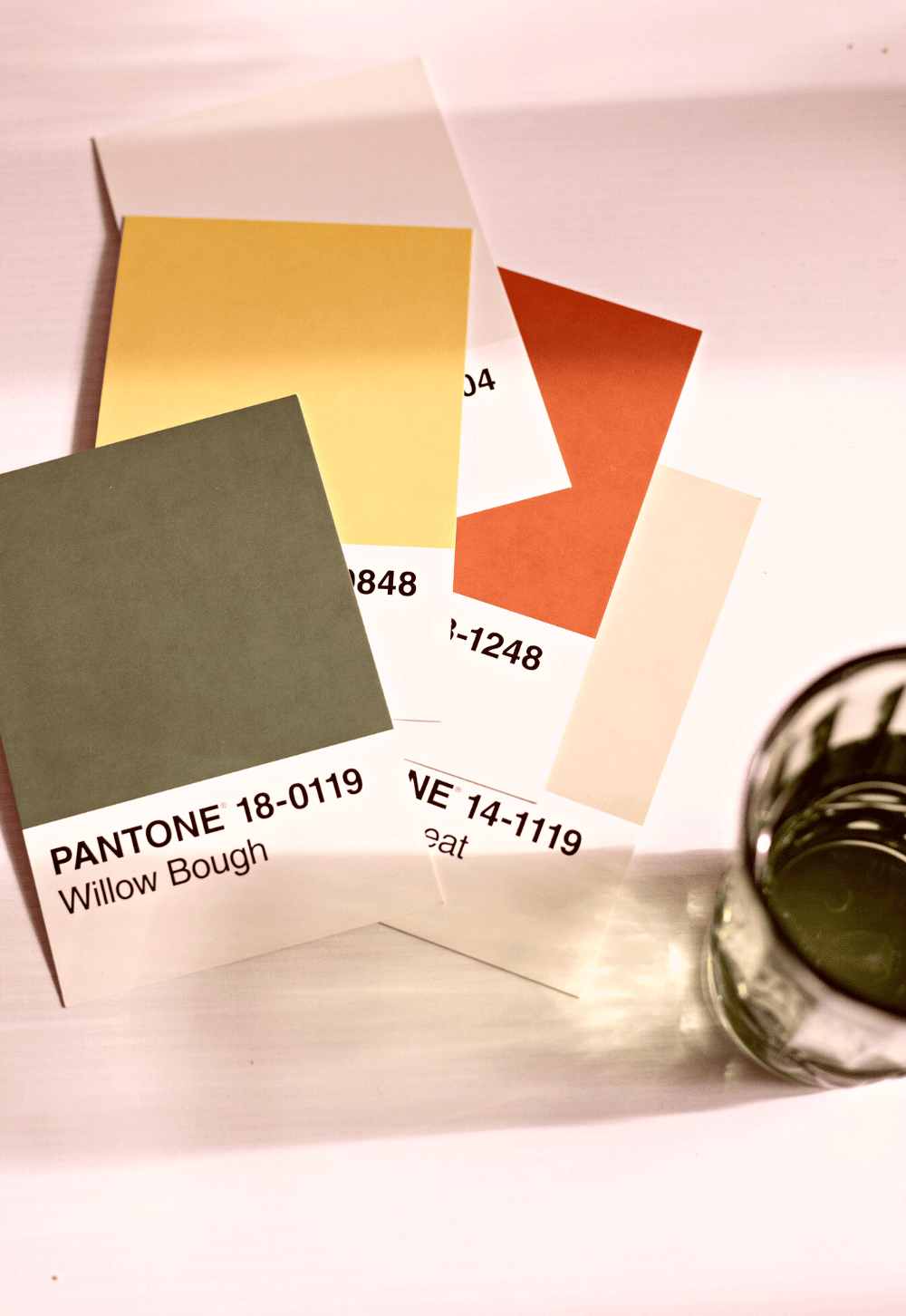 brand identity design - pantone color cards